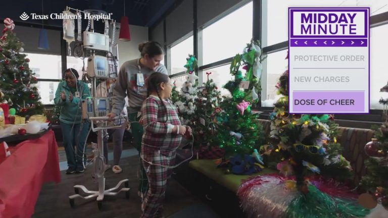 Texas Children’s Hospital hosts Christmas tree farm