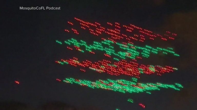 New Year’s Eve drone shows canceled after incident in Florida