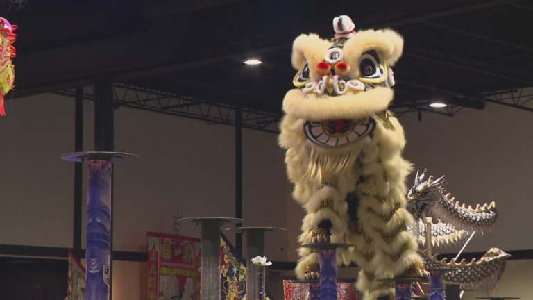 Teams compete at the Lion Dance competition in Grand Prairie