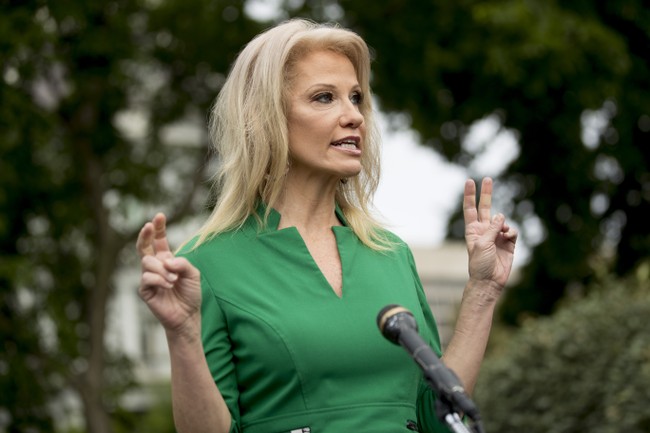 Kellyanne Conway Needs Only Two Words to Explain Why More Women Didn’t Turn Out for Kamala Harris