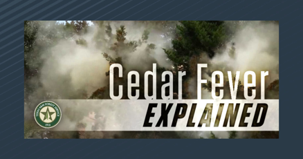 Cedar fever hits Texas