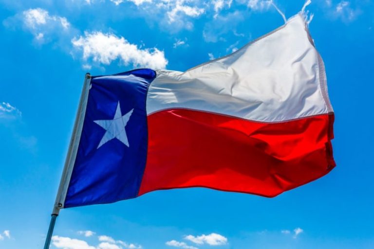 How many native Texans still live in Texas?