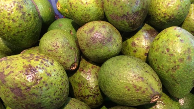 ‘Holy Guacamole’: 34,000 stolen avocados found in Central Texas