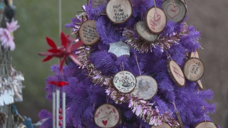 Purple tree in North Texas honors teen’s struggle, raises fentanyl awareness