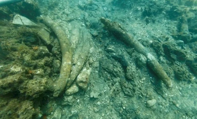 Shipwreck Near Kenya May Be from Vasco da Gama’s Final Voyage and Would Be ‘Archaeological Stardust’