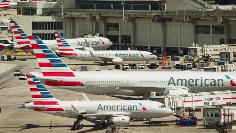 Couple sues American Airlines alleging race discrimination, court documents say