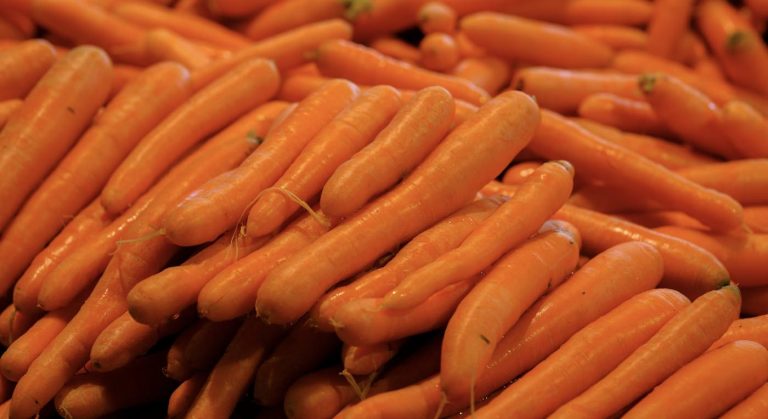 Carrots May Be Key to Unlocking Microbiome’s Diabetes Defense System