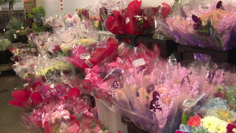 Here’s how much San Antonians will pay for roses this Valentine’s Day