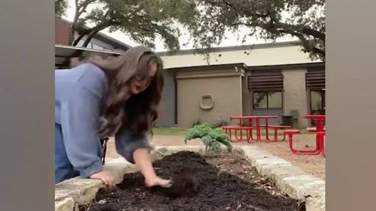 TIPS: Here’s how to enrich your soil in February for a vibrant spring bloom