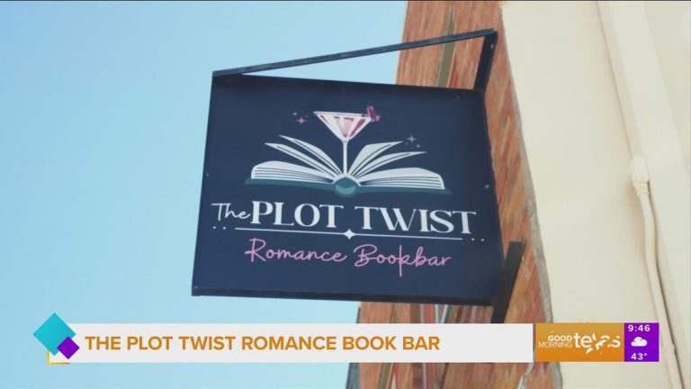 Mompreneur: The Plot Twist Book Bar