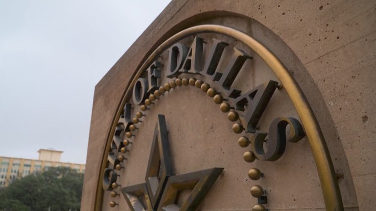 Dallas launches search for new police, fire chief