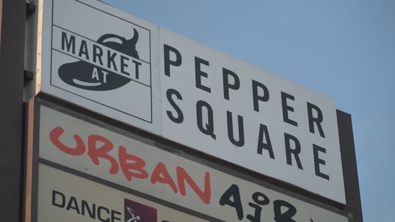 Controversial Pepper Square Shopping Center redevelopment plan advances to City Council