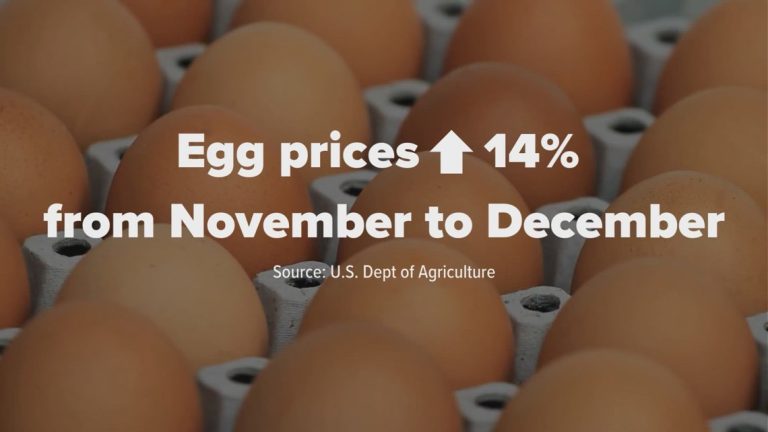 Egg prices continue to rise and cartons are selling out in North Texas grocery stores