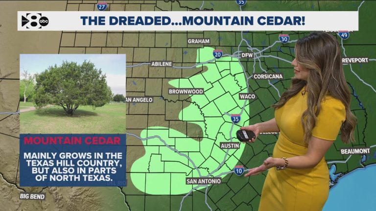 The dreaded mountain cedar pollen is creeping into North Texas: Here’s the full forecast