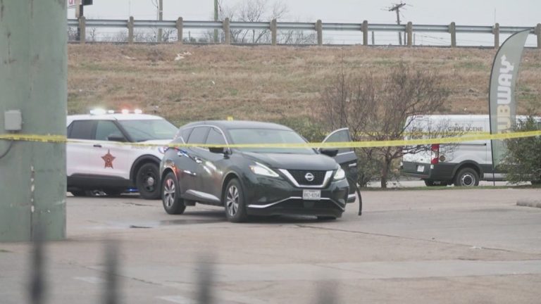 Chase ended with suspect shot in North Texas, sheriff’s office says