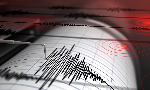 Texas rocked by four earthquakes in less than 12 hours