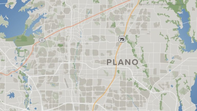 Bat tests positive for rabies in Plano