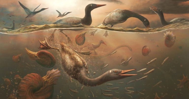 Antarctica Yields Intact Skull — An Ancestor of Today’s Waterfowl That Survived Dinosaur Extinction