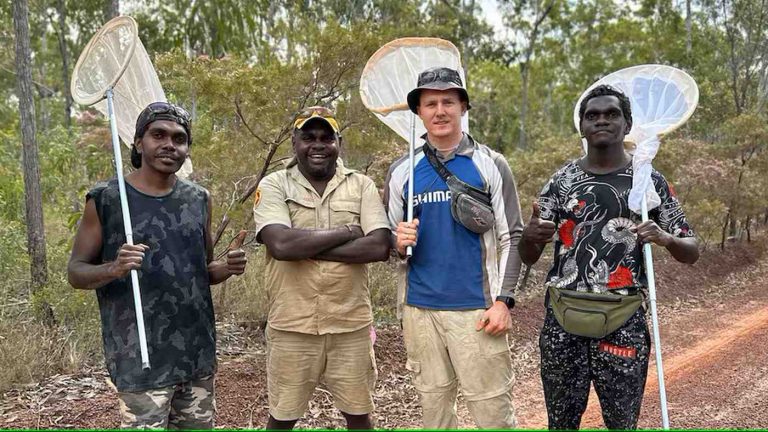 Australia’s ‘Bee Man’ Saving Native Species, One ‘Hotel’ at a Time