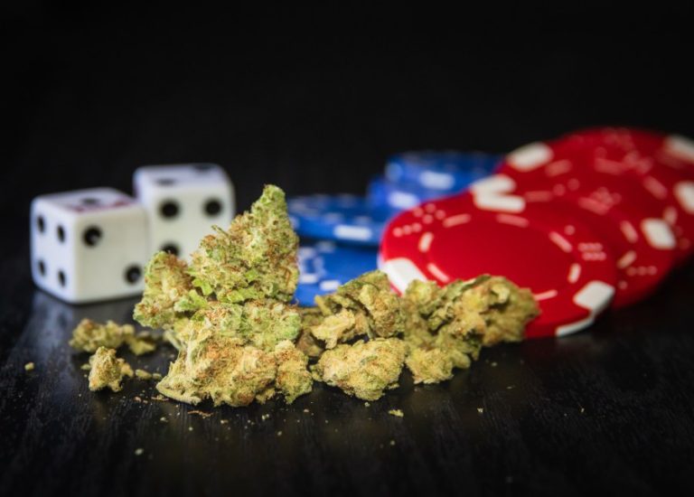 Should Texas legalize gambling, marijuana? These Texans think so