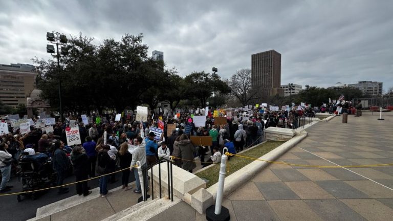 Hundreds show up to protest on Presidents Day at Texas Capitol