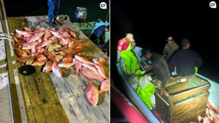 1,595 pounds of illegally caught fish, 9 sharks seized off South Texas coast; 11 fishermen detained