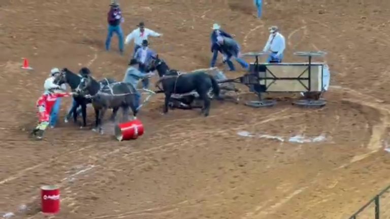 Chuckwagon driver injured after chuckwagon tipped over during race at Fort Worth Stock Show & Rodeo, officials say