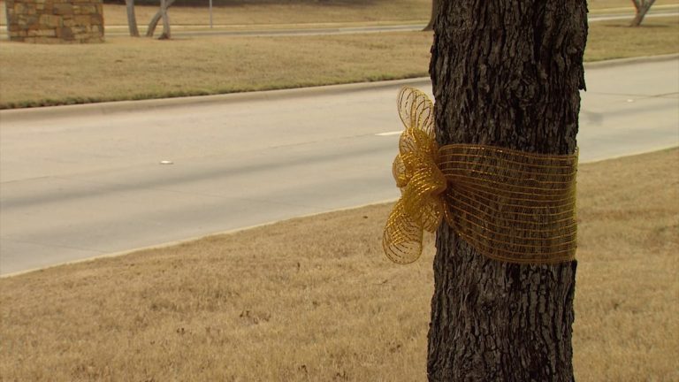 Keller’s trees adorned with gold in protest against proposed school district split