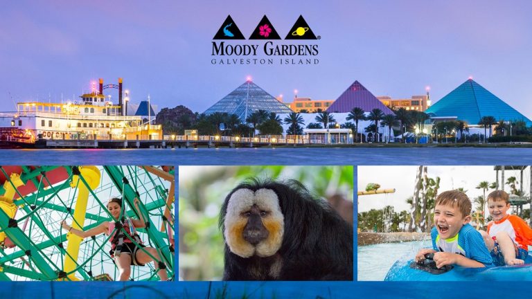 Win A Moody Gardens Overnight Getaway